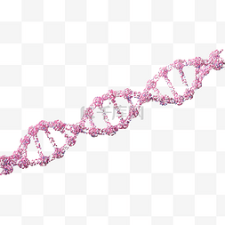 医疗DNA蓝色粉色