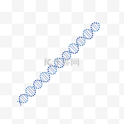矢量分子结构图片_DNA双链基因分子结构