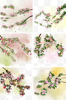 海棠春季花卉植物风景粉色花树插