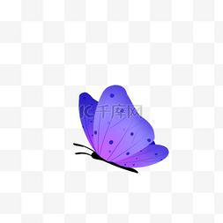 蓝色的蝴蝶免抠图