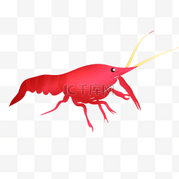 吃食龙虾动物插画