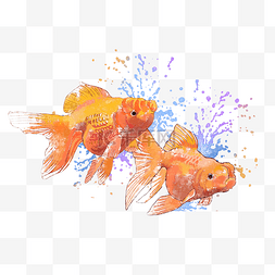 金鱼水墨画喷溅