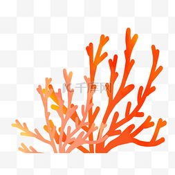 漂亮的红色珊瑚插图