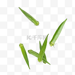 绿色蔬菜秋葵图片_飞起来的秋葵蔬菜