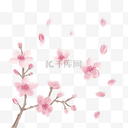 手绘春天植物花朵图片_手绘粉色桃花