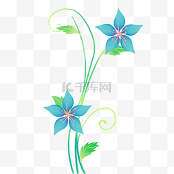 蓝色花朵花藤