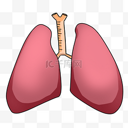 心肺复苏流程图图片_心肝肺脾肾器官插画
