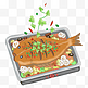 中华美食烤鱼