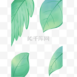 绿色雨水海报图片_四片装饰的叶子植物