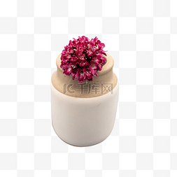 小盆花图片_松虫草和小花瓶