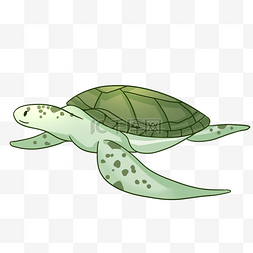 绿色海洋海龟