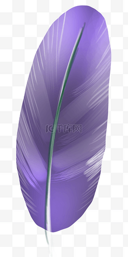 紫色装饰羽毛