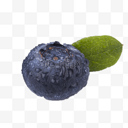 新鲜的蓝莓图片_一个可口新鲜的蓝莓