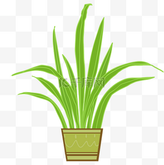 下载免抠元素卡通盆栽吊兰插画企业vip免费下载免抠元素室内植物盛开
