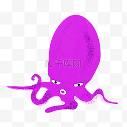 漂亮紫色章鱼