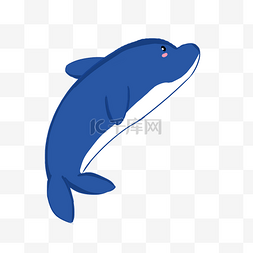海豚海洋卡通图片_夏日海洋水族馆海豚可爱卡通免扣