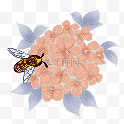 手绘植物花卉蜜蜂自然插画