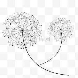 蒲公英草地图片_野花花卉蒲公英