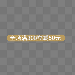 全场满300立减50元