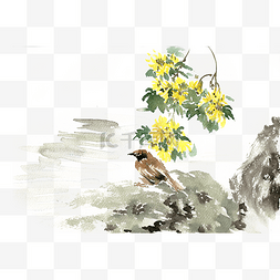 水彩画菊花下的麻雀