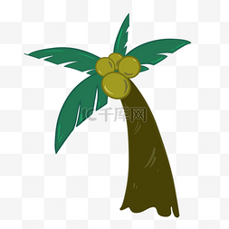椰子树椰子椰果