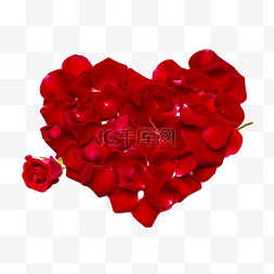 浪漫玫瑰爱心图片_红色爱心玫瑰花瓣