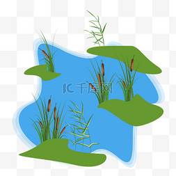 湿地介绍图片_湿地植物
