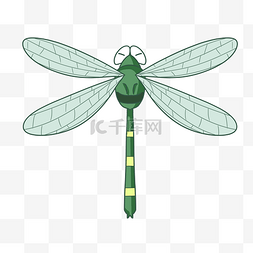 蜻蜓飞行图片_卡通绿色蜻蜓