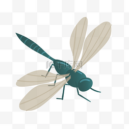 一只昆虫蜻蜓