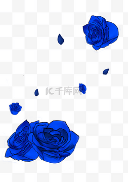 蓝色妖姬花朵植物