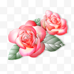 玫瑰花组合图片_红色的玫瑰花组合