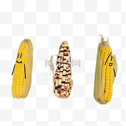 玉米创意图片_被孤立的玉米