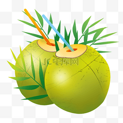 两个椰子水果