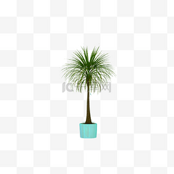真实纹理图片_绿色热带植物元素