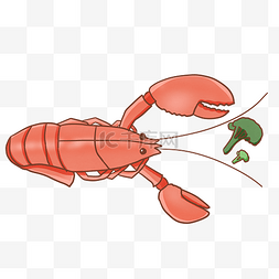 绿色触须图片_吃蔬菜的龙虾插画