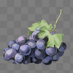 紫葡萄水果