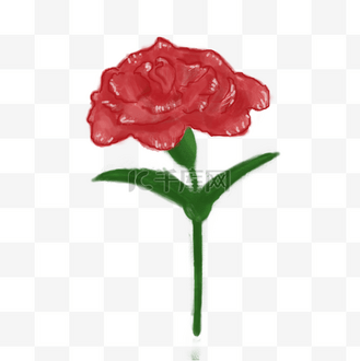 母亲节康乃馨母亲花插画