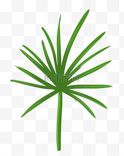 绿色植物单片叶片PNG免抠