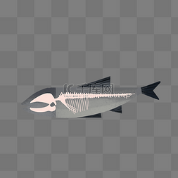 鱼刺骨骼结构