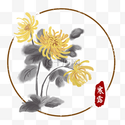 寒露节气中国风菊花