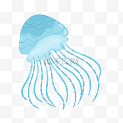 蓝色浮游生物水母