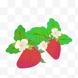新鲜草莓采摘图片_采摘园奶油草莓