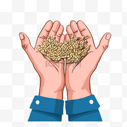 农作物麦子图片_农作物手捧粮食麦子