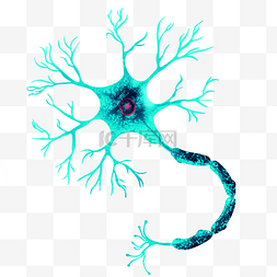 幼儿大脑神经图片_神经元脑神经