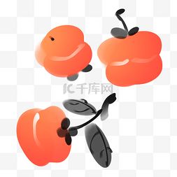 中国画果实柿子