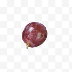 葡萄果实图片_一颗新鲜美味的葡萄