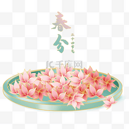 中国风粉色花卉图片_二十四节气春分