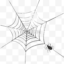 巨型蜘蛛图片_蜘蛛网