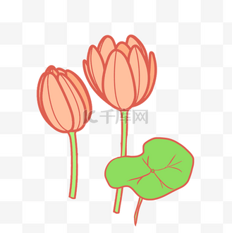 荷花花苞装饰插画个人vip和企业vip免费下载免抠元素手绘紫红色花苞