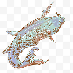 彩色创意鱼类元素